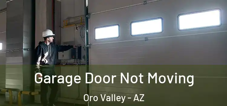  Garage Door Not Moving Oro Valley - AZ